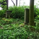 Босыне - еврейское кладбище - сохранившаяся часть